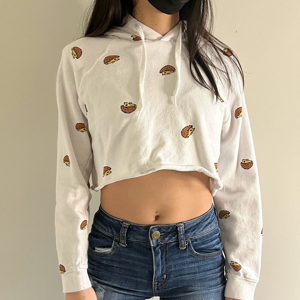 A crop hoodie with many hedgehogs on it